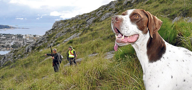 Casi 3.000 cazadores de Baleares contra la prohibición de competiciones de tiro