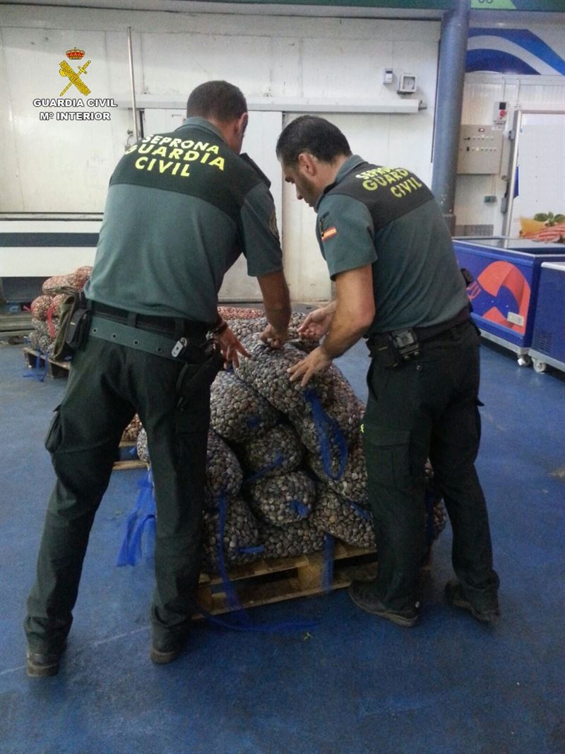 El Seprona tras los ‘delincuentes’ que incendian nuestros bosques