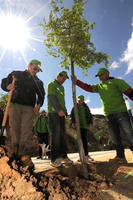 IV Día del Voluntariado de Castilla y León ha incluido la plantación de árboles en las márgenes del río Duero