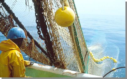 Sistemas destructivos de pesca