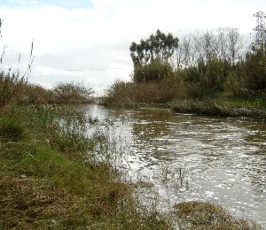 Junta impulsa una inversión de 36