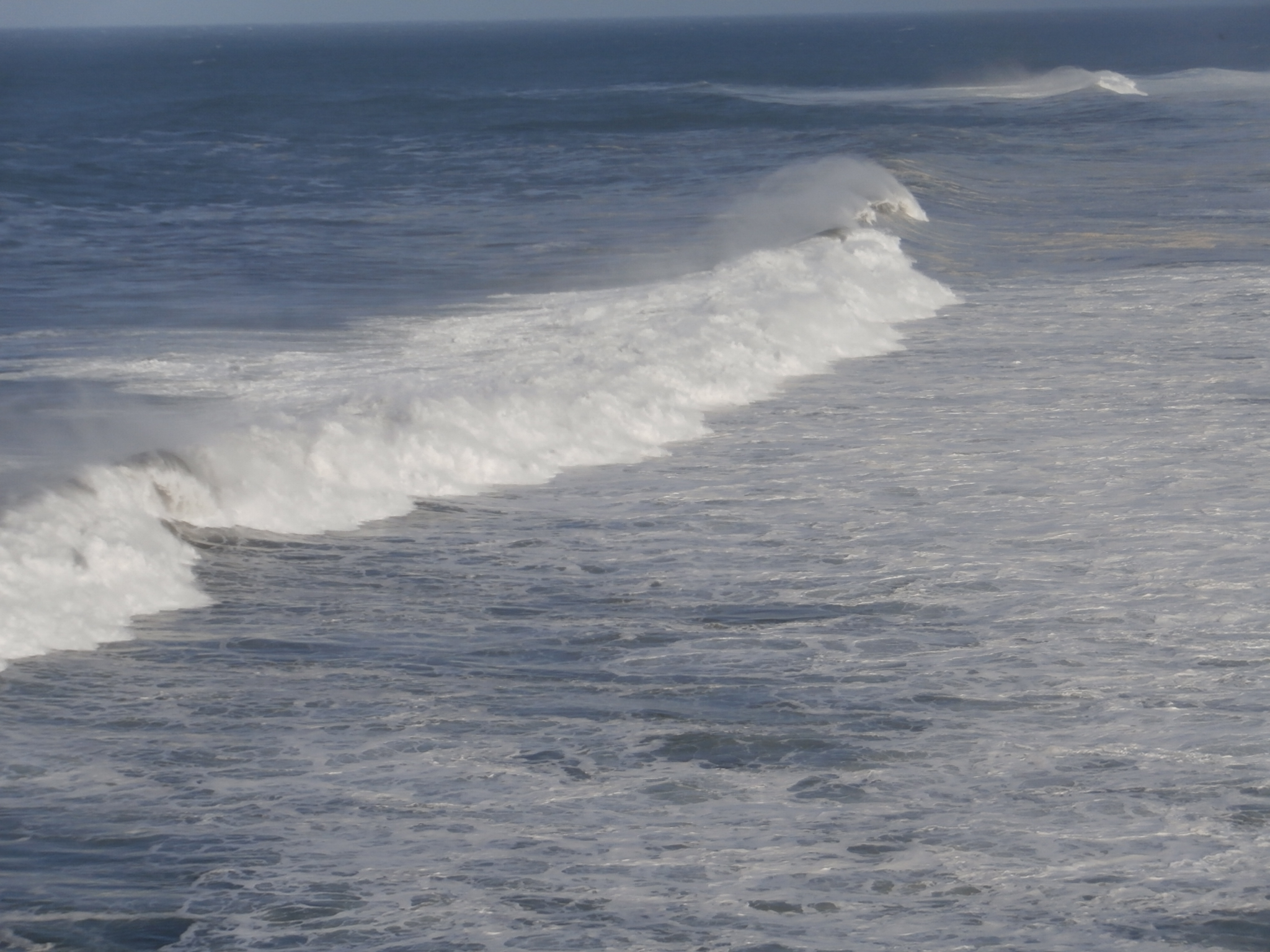 El Principado de Asturias persiste en apoyar la cría de mejillones a pesar de los problemas ambientales