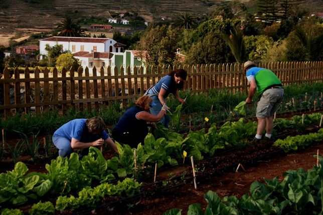Los cultivos caerán en picado a causa del calentamiento global
