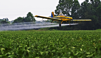Asociación de agentes Forestales se queja de la falta de información sobre tratamientos aéreos contra plagas