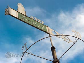 Germany’s 198-GW wind power potential can replace nuclear – study