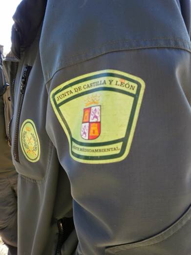 Medio Ambiente desarrolla una campaña de vigilancia en aguas trucheras de Castilla y León