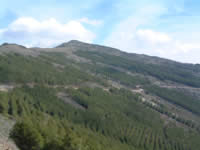 Actividades para disfrutar del campo y los parques madrileños