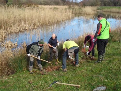 Jornada de voluntariado ambiental en las Marismas de Santoña