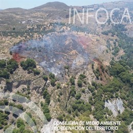 Controlado el incendio forestal en el paraje Cortijo del Plantío de Órgiva