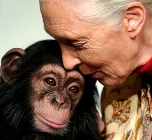 “La población humana está expulsando a los animales salvajes al borde de su extinción”