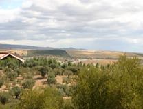 XIII Conferencia Ategrus® sobre Vertederos Controlados