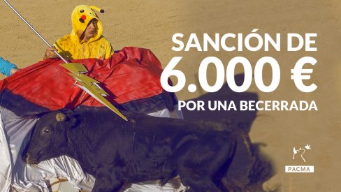 Sanción de 6.000€ al Ayuntamiento de Cercedilla por las crueles becerradas de 2016