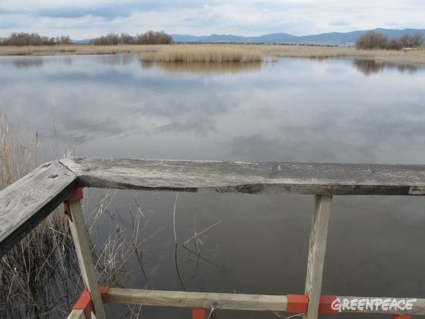 Los humedales...¡más secos que nunca!