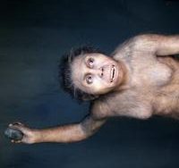 Descubren en Georgia las evidencias más antiguas de la presencia de Homo erectus