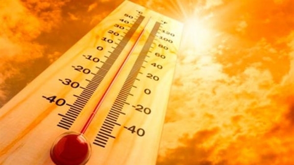 Top consejos ecológicos para afrontar la ola de calor