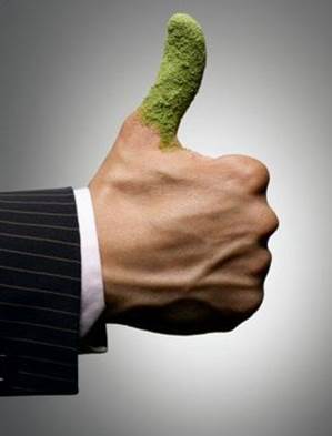 La obtención del título M.B.A Negocios Ambientales te abrirá las puertas que tanto quieres