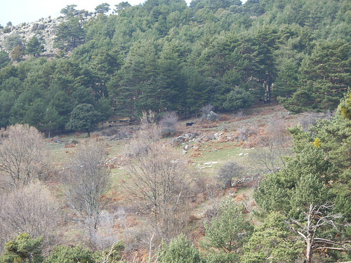 El MARM organiza de nuevo "A cielo abierto"