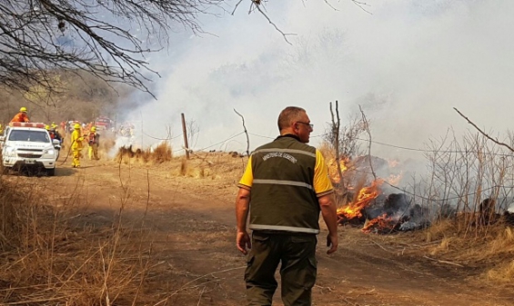 Argentina: Los incendios en Córdoba ya consumieron 6 mil hectáreas en 15 días