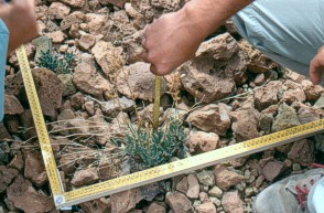 Experto en Planificación + Conservación de Espacios Naturales