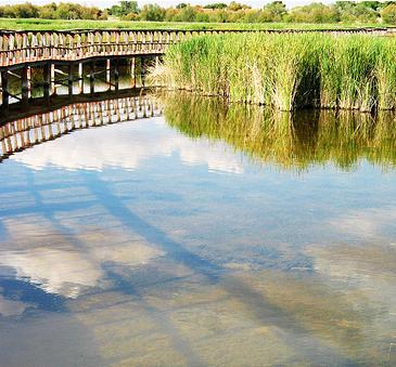 WWF denuncia la inutilidad del trasvase del Tajo a Las Tablas y pide su cancelación