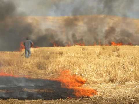 Quemar rastrojos es ‘nefasto’ para el medioambiente