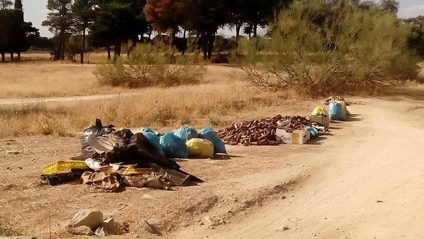 Alcorcón. La vereda de Castilla por fin limpia
