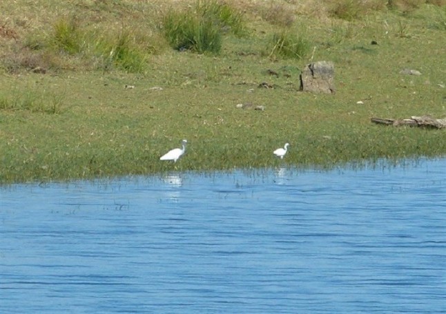 Incluidos en el inventario español 83 nuevos humedales andaluces