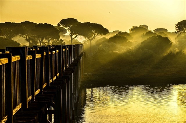 La fotografía titulada Amanecer dorado’