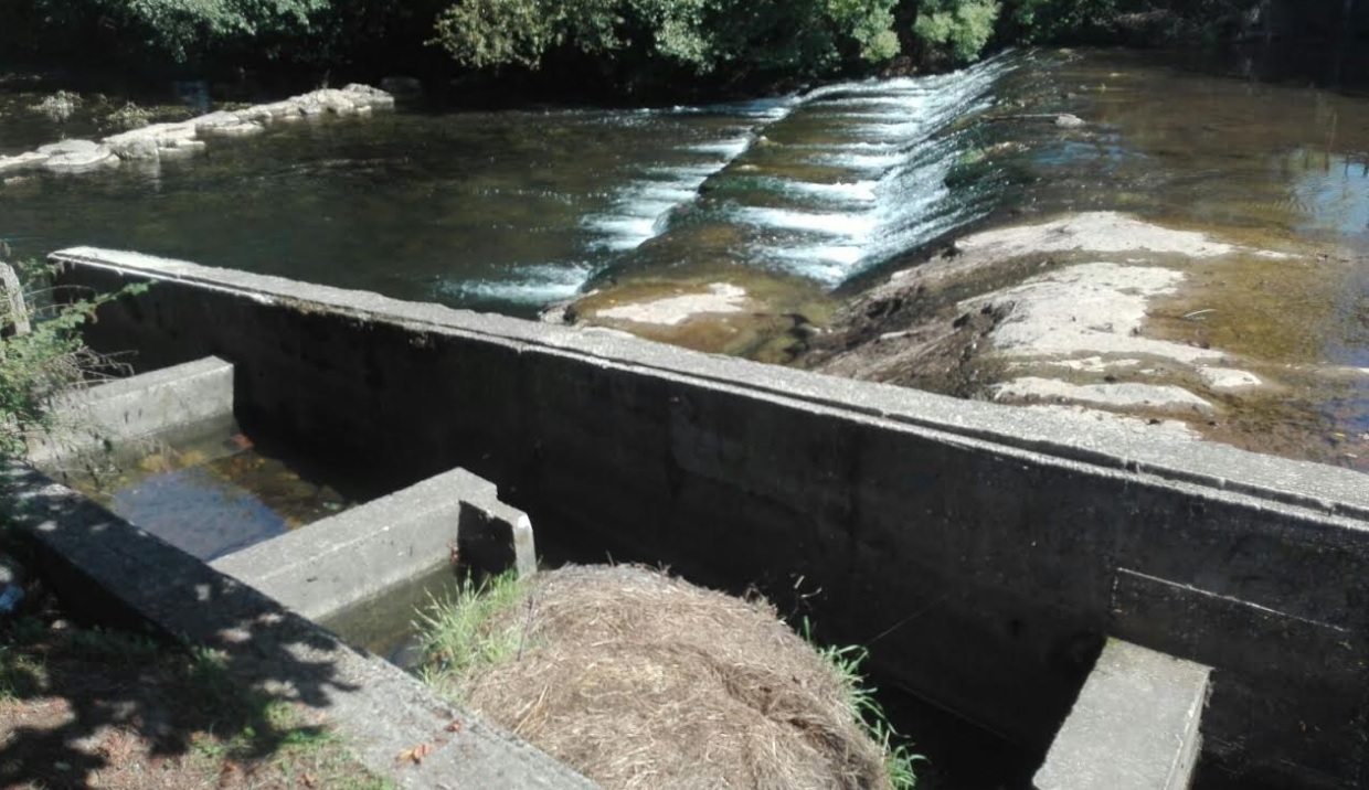 Abandono en el rio Cubia en Grado