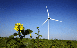 PP denuncia que con Zapatero "la luz ha subido más de un 50%" y reclama un Plan Nacional que aborde el mix energético