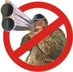 Recurso contra el archivo del caso del oso pardo disparado en una batida en el Parque Natural