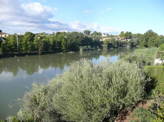 Reforzando la vegetación del río Millars (Castellón)