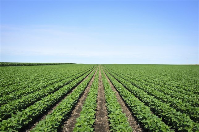 Biocombustibles y CO2 ‘la gran polémica’