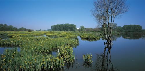 26 y 27 de noviembre