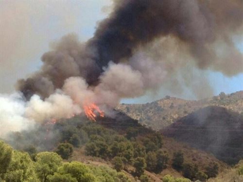 Los incendios forestales devoran un 15% más de bosque que en 2013