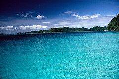 Recuperar los bosques azules