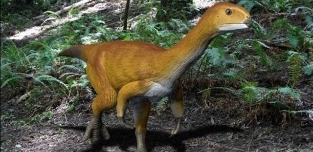 Un estudio identifica al Chilesaurus como el eslabón perdido de los dinosaurios