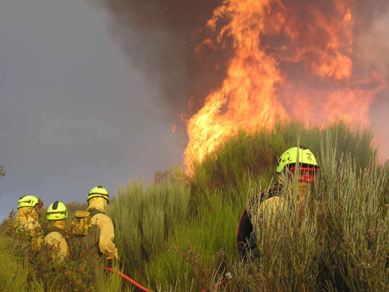 Los incendios forestales se llevan por delante 50.000 hectáreas hasta junio