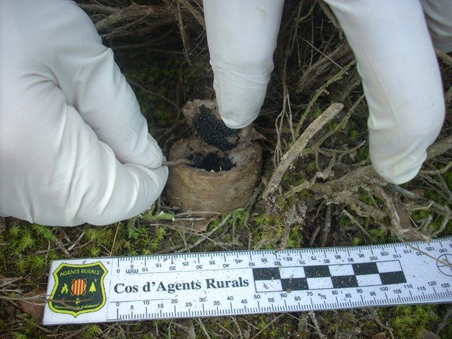 La Fiscalía General del Estado ‘luchará’ contra el uso de plaguicidas prohibidos