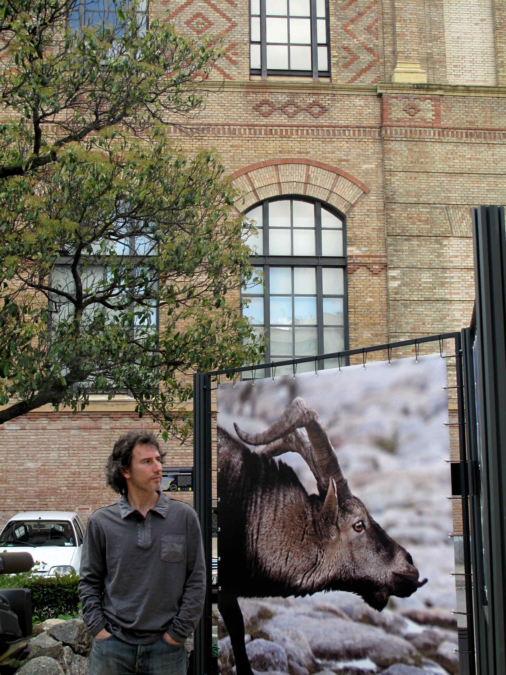 La Directora de la Fundación Biodiversidad inaugura la exposición “La mirada salvaje”