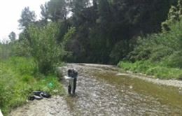 Elevadísima contaminación en el río Foix
