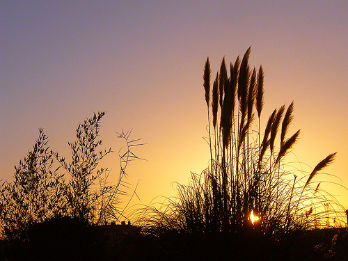 Una guía divulgará los 40 espacios de la Red Española de Reservas de la Biosfera