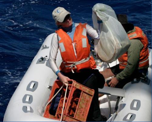 Podrá un solo pez inspirarnos a actuar contra la contaminación plástica