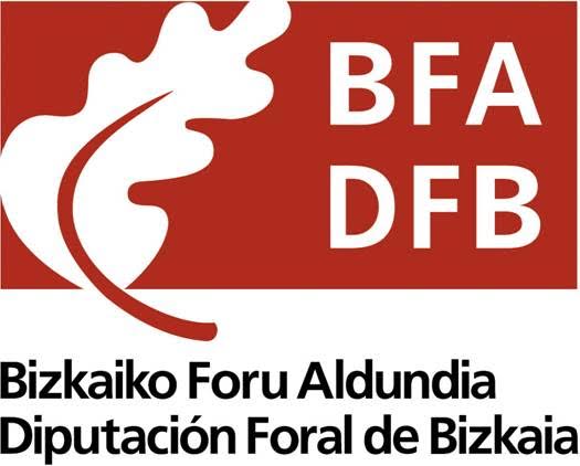 La Diputación de Bizkaia repartirá 4