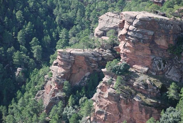 El paisaje protegido de los Pinares de Rodeno consigue la Q de Calidad Turística