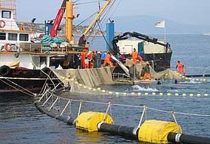 La pesca de marrajo al ‘limite’