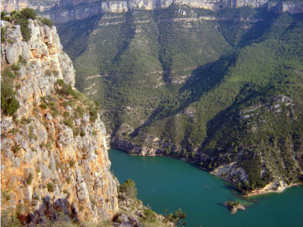 Jornada. Cómo queremos gestionar el agua en la demarcación hidrográfica del Júcar