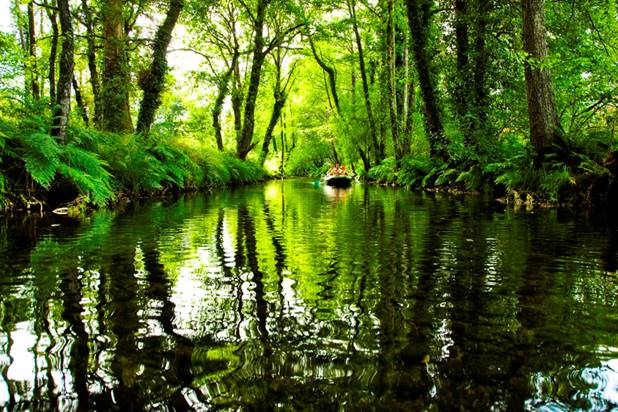 Anímate a estudiar este curso en experto en planificación y conservación de espacios naturales