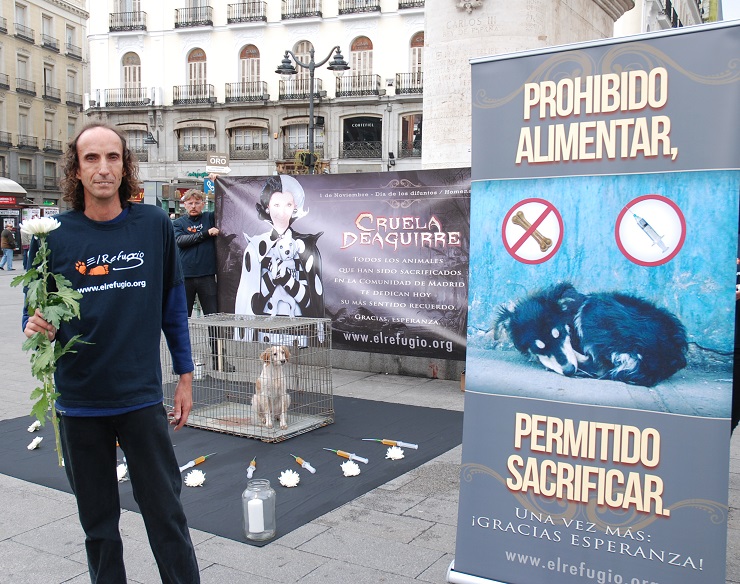 Un hombre rana contra el sacrificio de animales abandonados