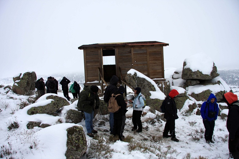 Milanos y buitres sobrevuelan el Castillo de Coca